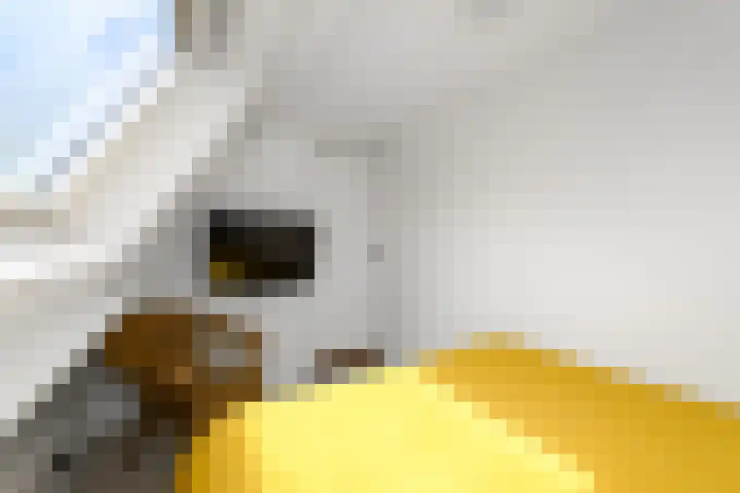 Delle 11 Oldeberkoop thumbnail 25