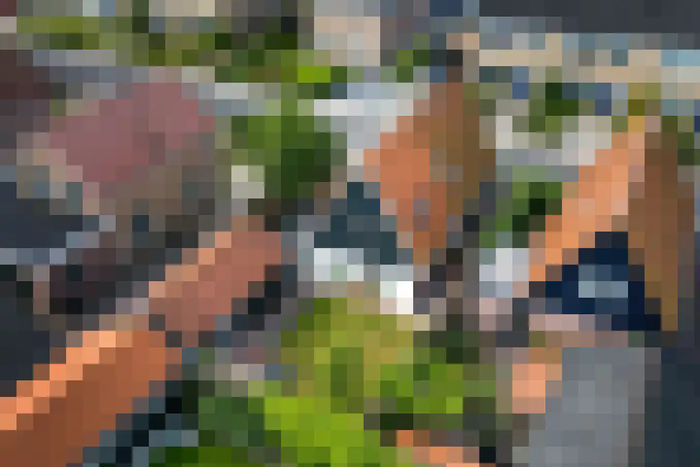 Delle 11 Oldeberkoop thumbnail 28