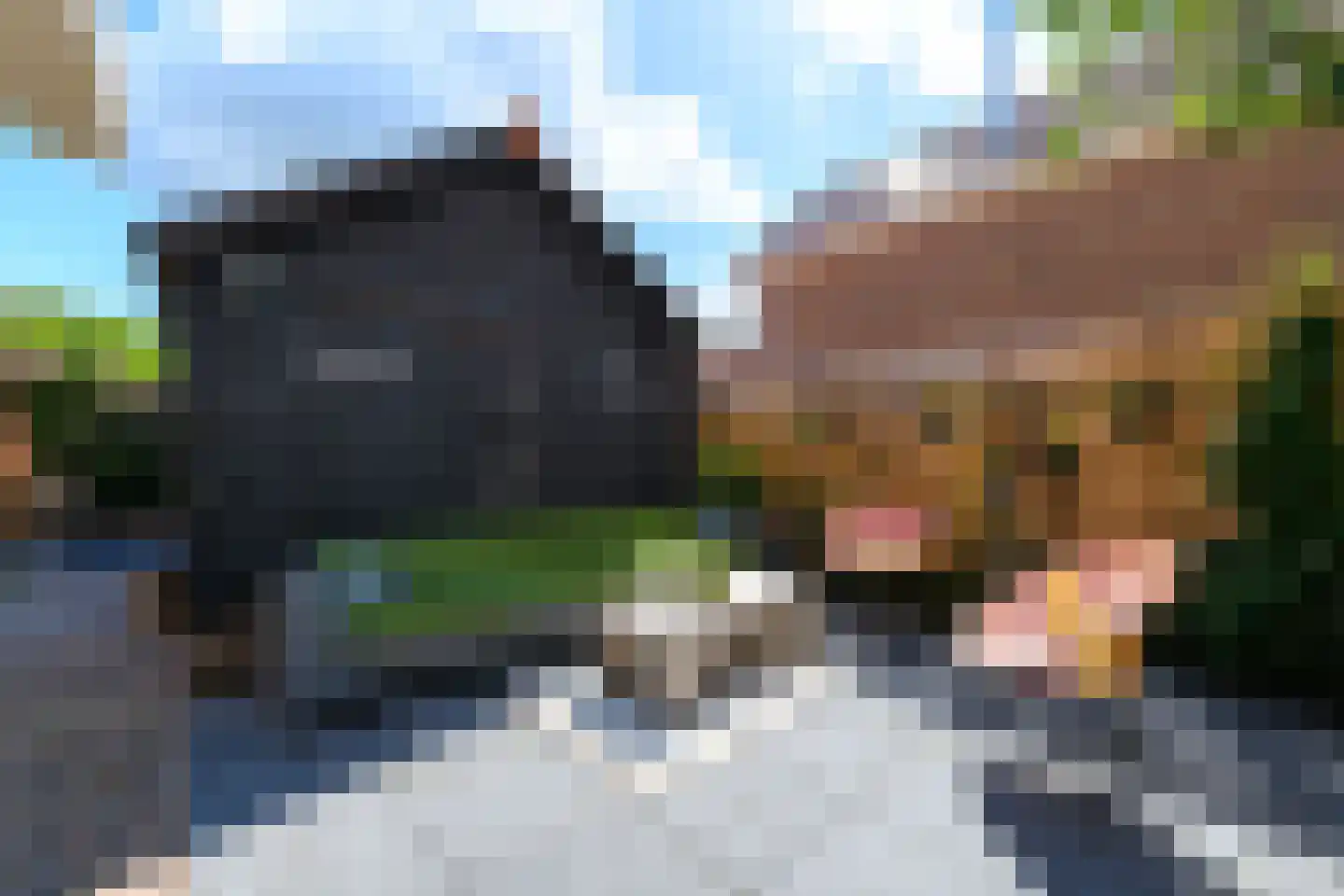 Delle 11 Oldeberkoop thumbnail 32