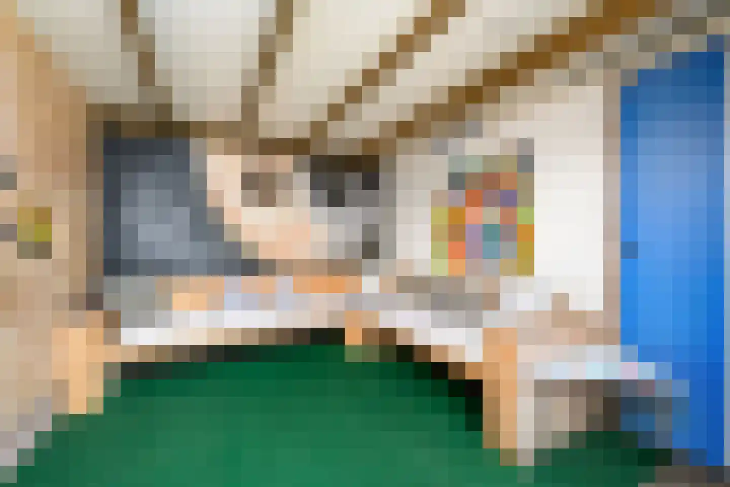 Delle 11 Oldeberkoop thumbnail 42