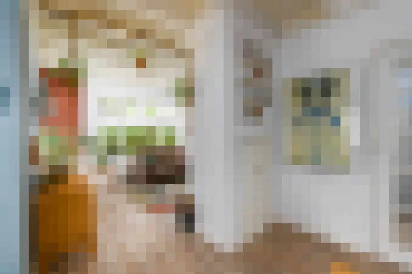Delle 11 Oldeberkoop thumbnail 7