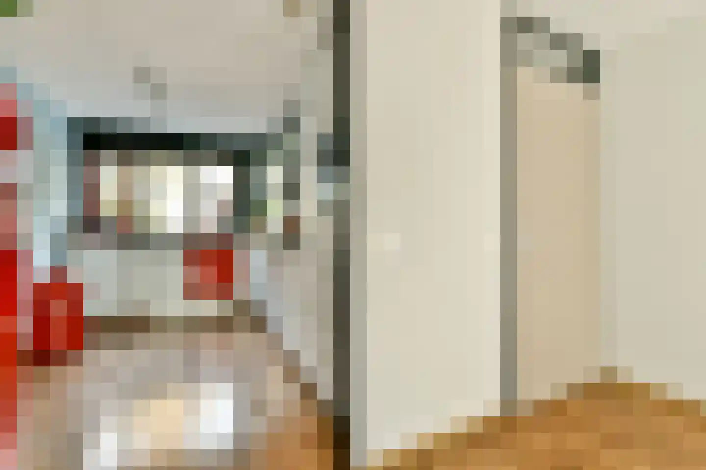 Delle Alpihof 24 Amsterdam thumbnail 10