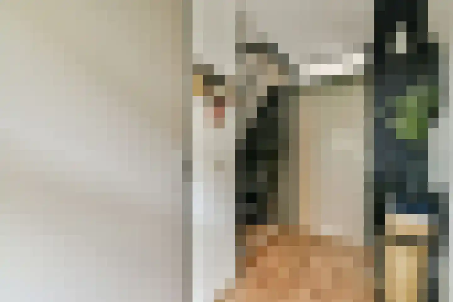 Delle Alpihof 24 Amsterdam thumbnail 12