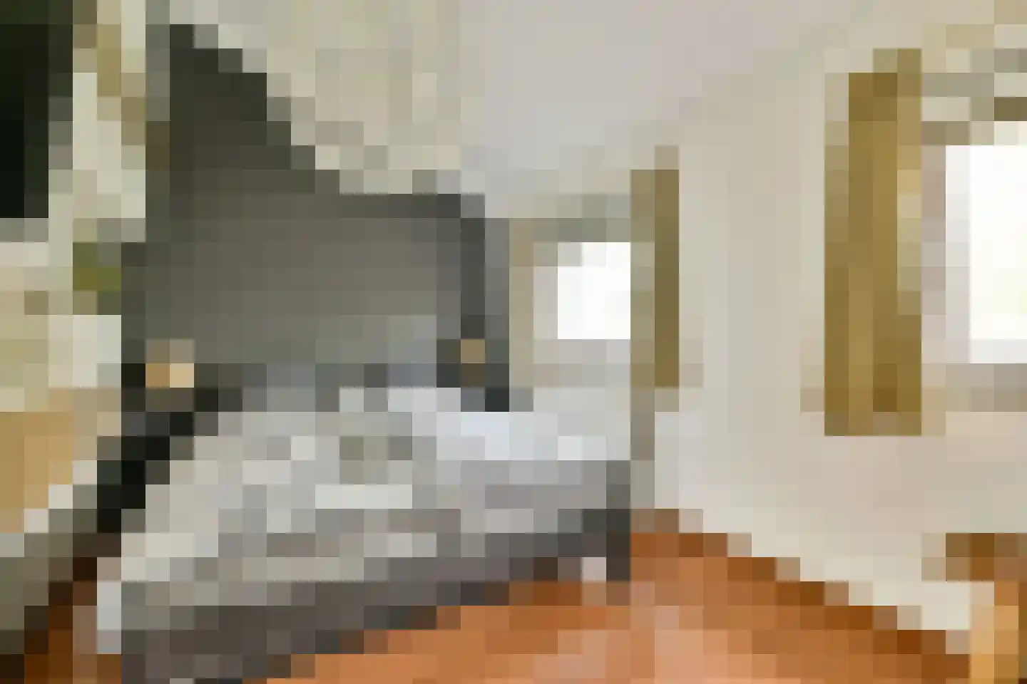 Delle Alpihof 24 Amsterdam thumbnail 14