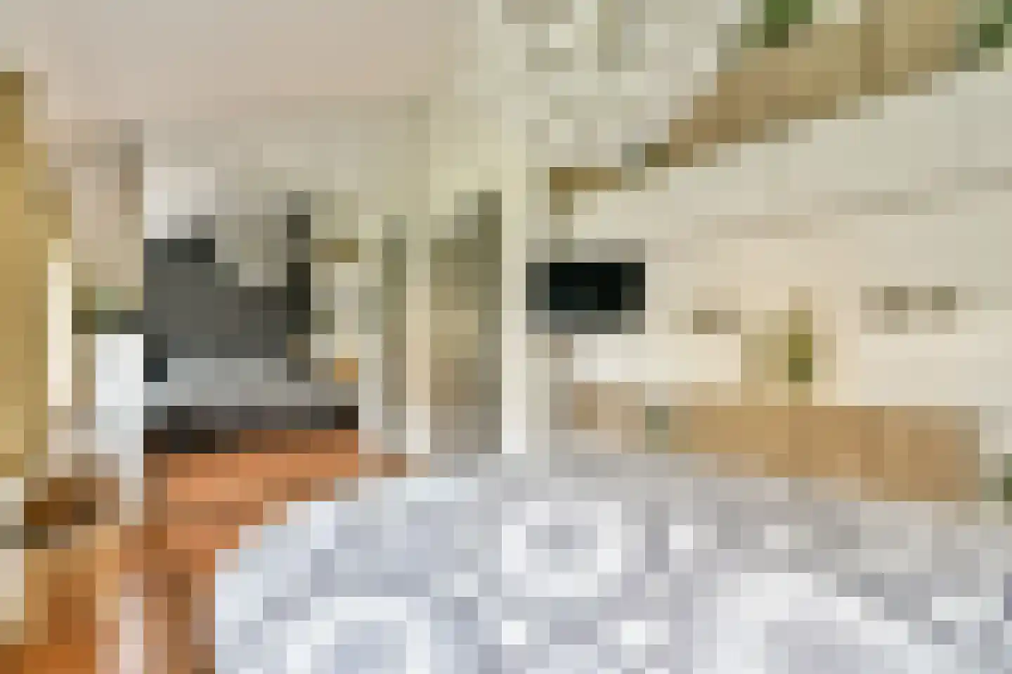 Delle Alpihof 24 Amsterdam thumbnail 15