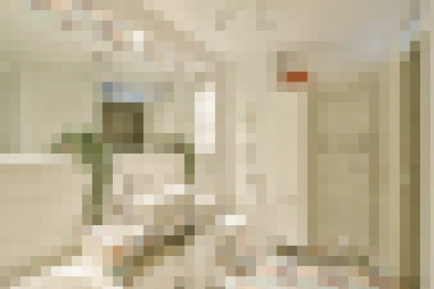 Delle Alpihof 24 Amsterdam thumbnail 17