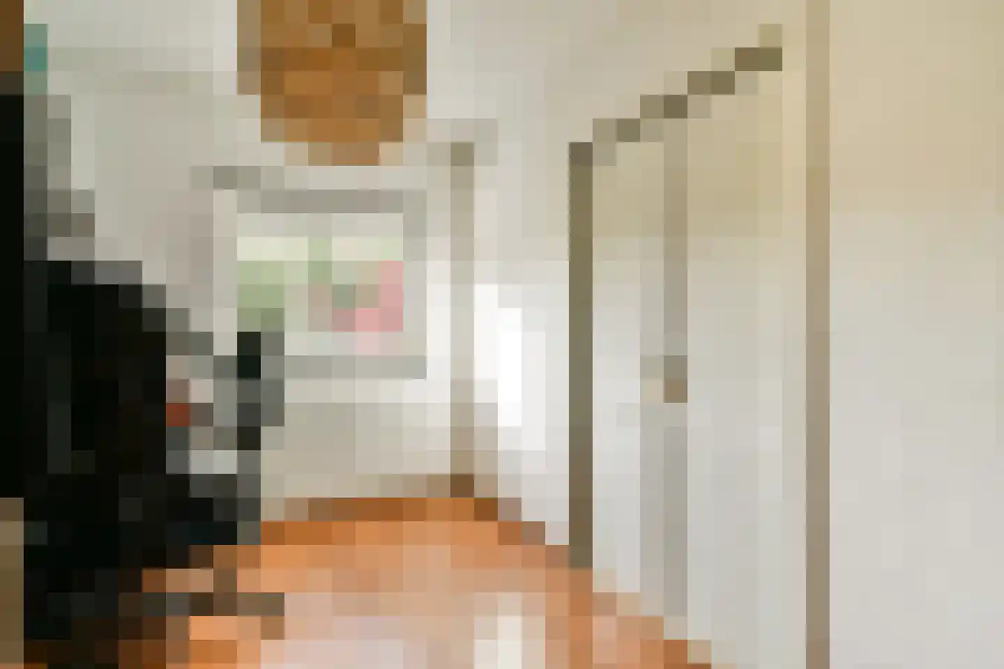 Delle Alpihof 24 Amsterdam thumbnail 18