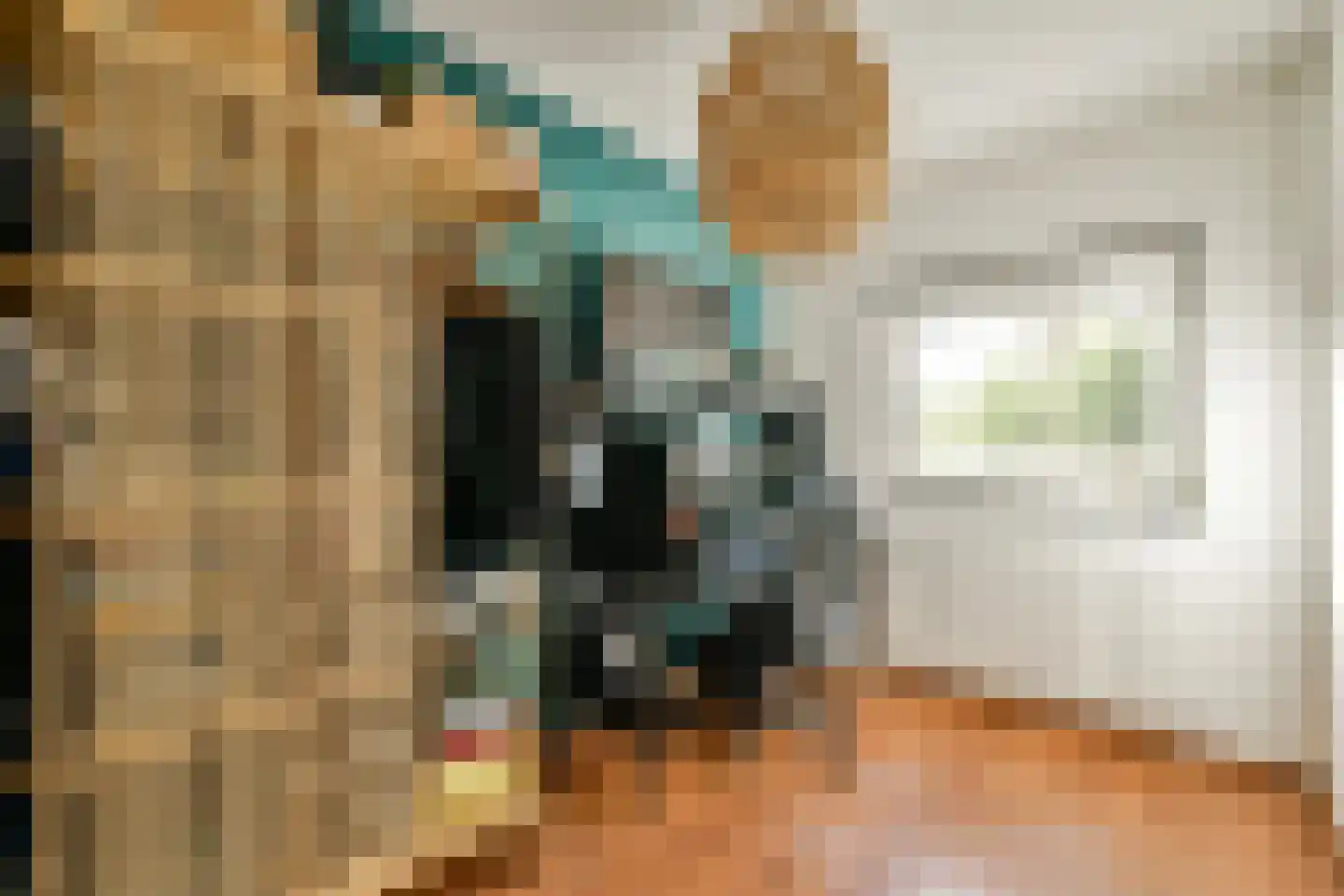 Delle Alpihof 24 Amsterdam thumbnail 19
