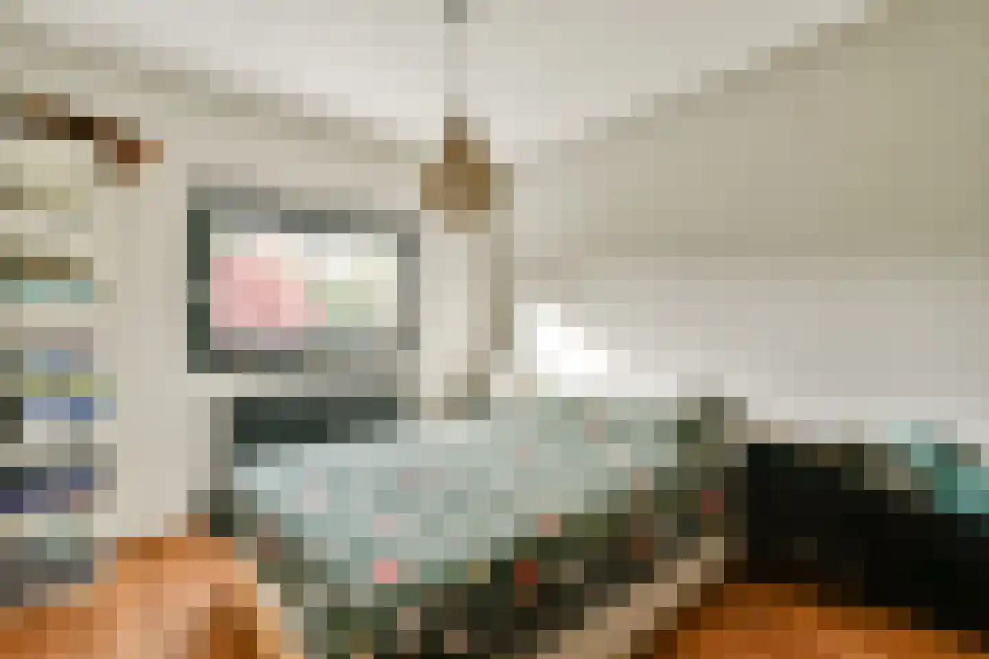 Delle Alpihof 24 Amsterdam thumbnail 21