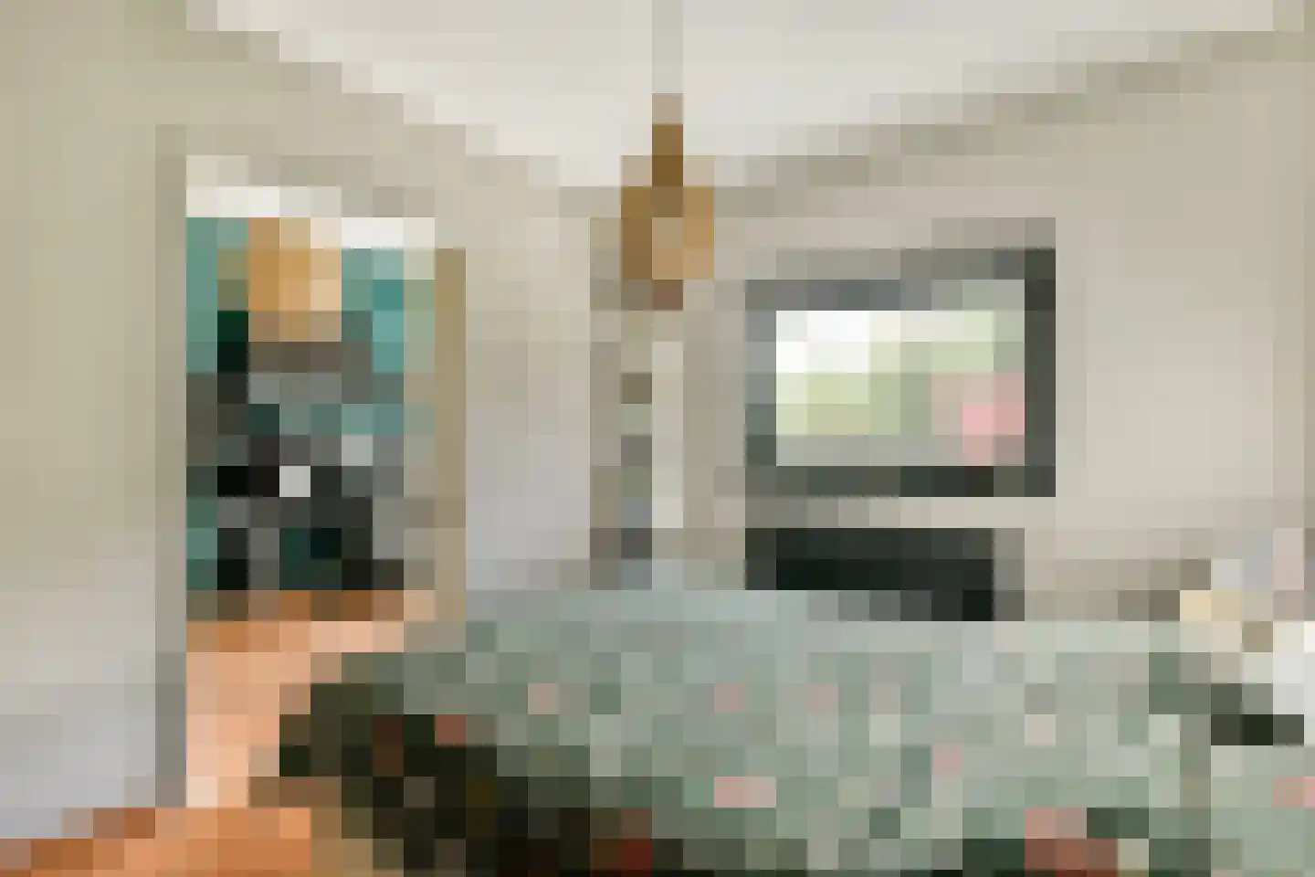 Delle Alpihof 24 Amsterdam thumbnail 22