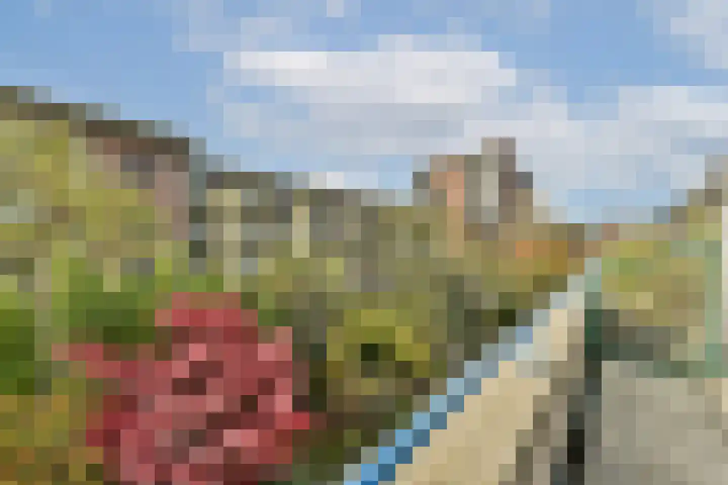 Delle Alpihof 24 Amsterdam thumbnail 28
