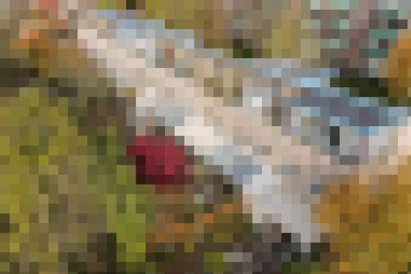 Delle Alpihof 24 Amsterdam thumbnail 29