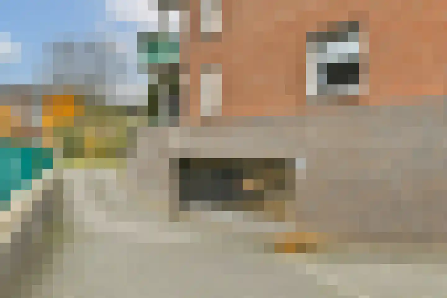 Delle Alpihof 24 Amsterdam thumbnail 30