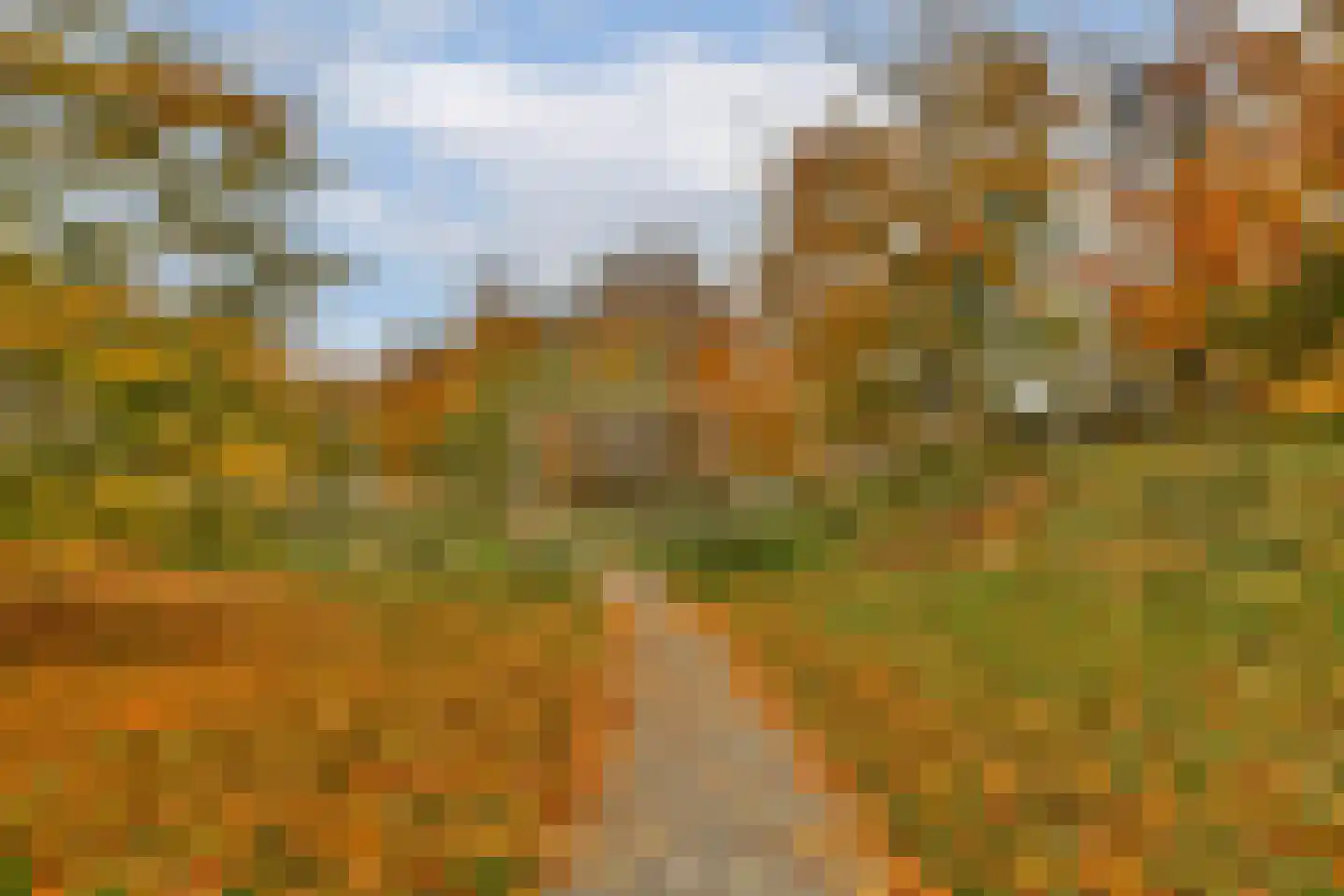 Delle Alpihof 24 Amsterdam thumbnail 35