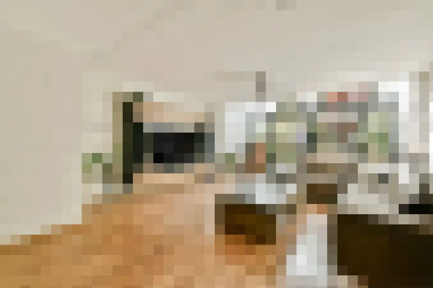 Delle Alpihof 24 Amsterdam thumbnail 4