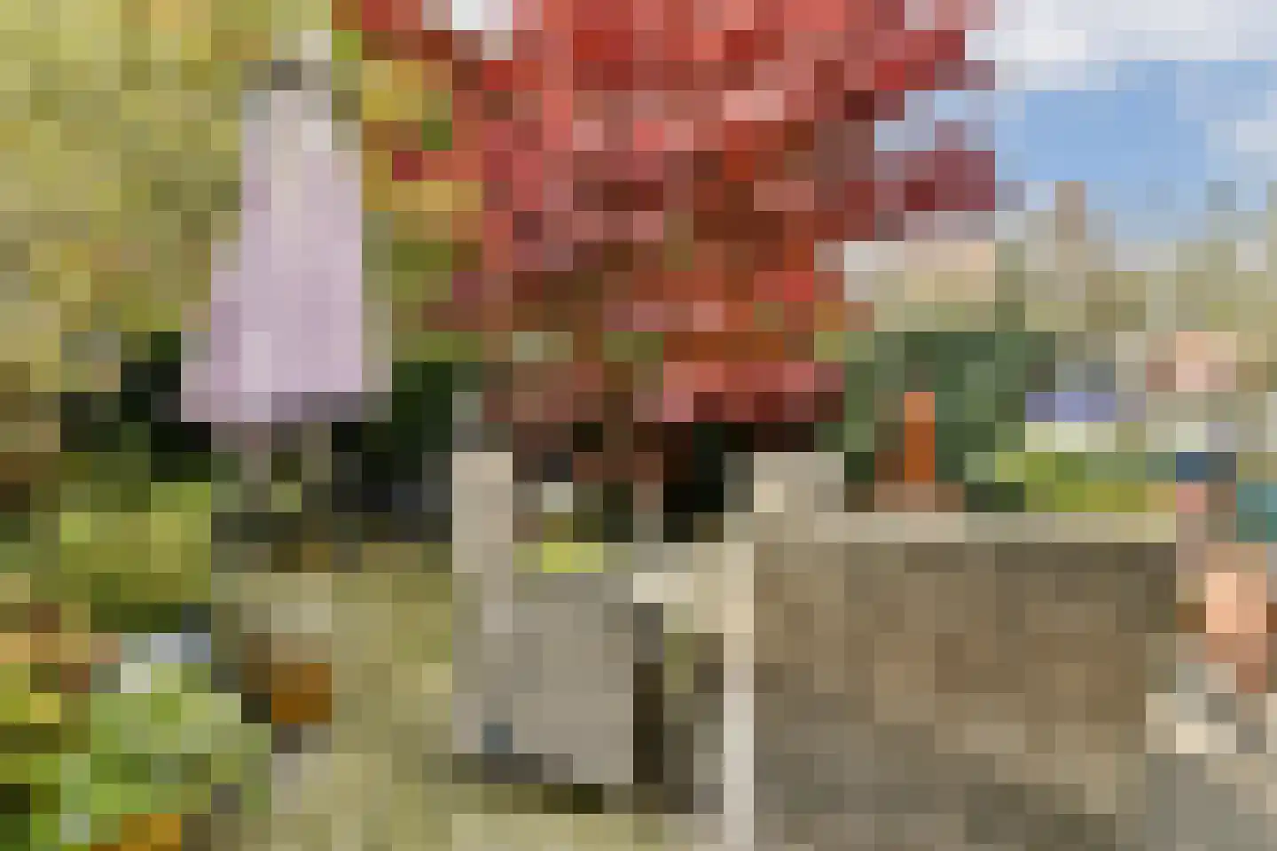 Delle Alpihof 24 Amsterdam thumbnail 5