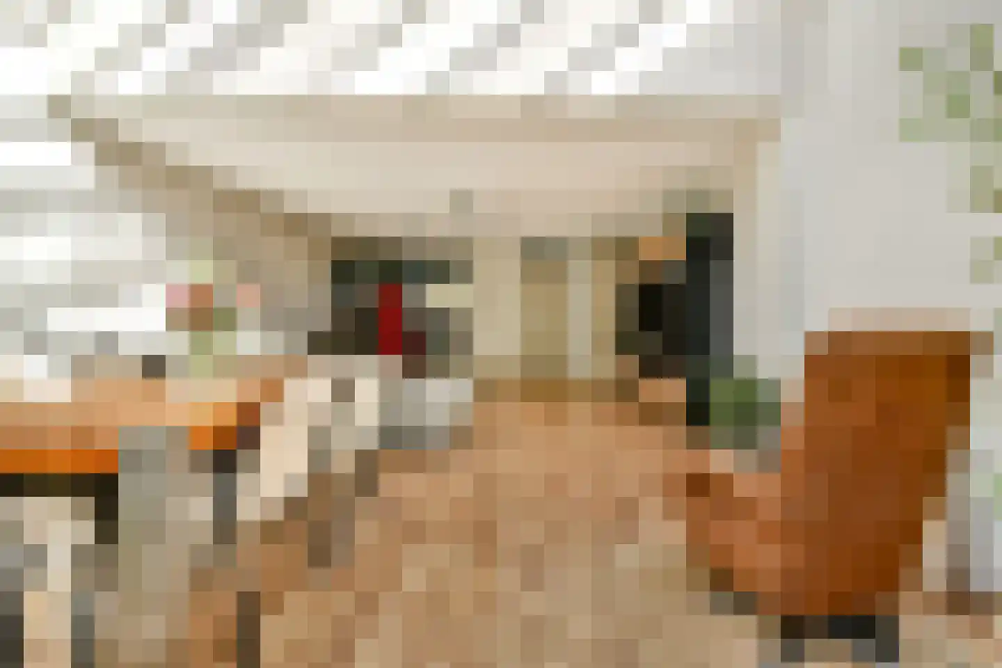 Delle Alpihof 24 Amsterdam thumbnail 7