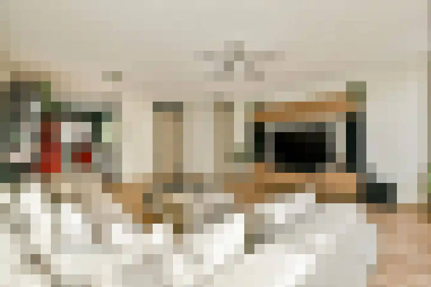 Delle Alpihof 24 Amsterdam thumbnail 8