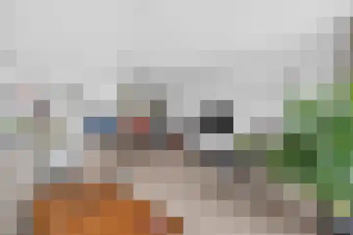 Delle Alpihof 46 Amsterdam thumbnail 11