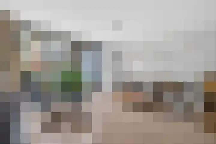 Delle Alpihof 46 Amsterdam thumbnail 13