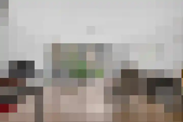 Delle Alpihof 46 Amsterdam thumbnail 14