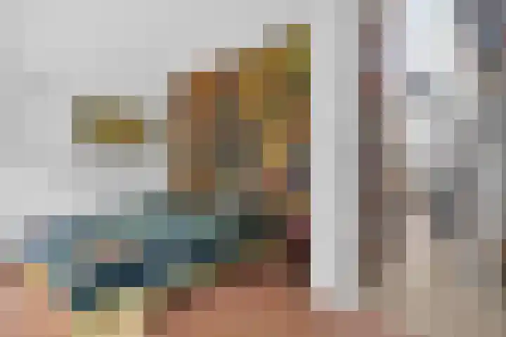 Delle Alpihof 46 Amsterdam thumbnail 18