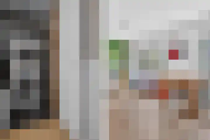 Delle Alpihof 46 Amsterdam thumbnail 20
