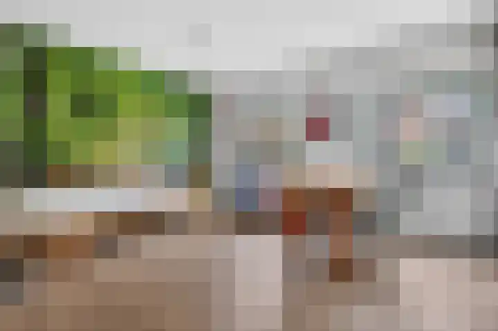 Delle Alpihof 46 Amsterdam thumbnail 21