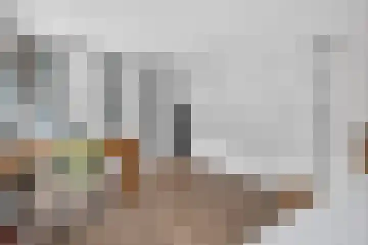 Delle Alpihof 46 Amsterdam thumbnail 23