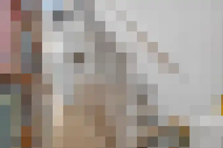 Delle Alpihof 46 Amsterdam thumbnail 28