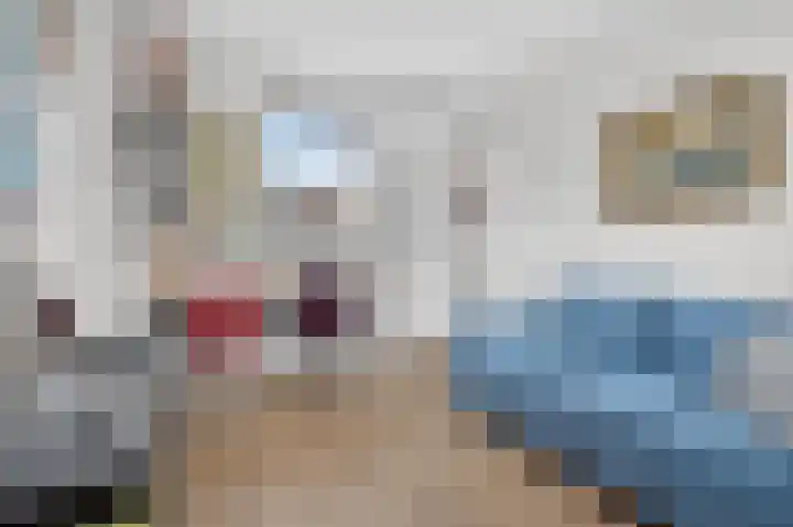 Delle Alpihof 46 Amsterdam thumbnail 32
