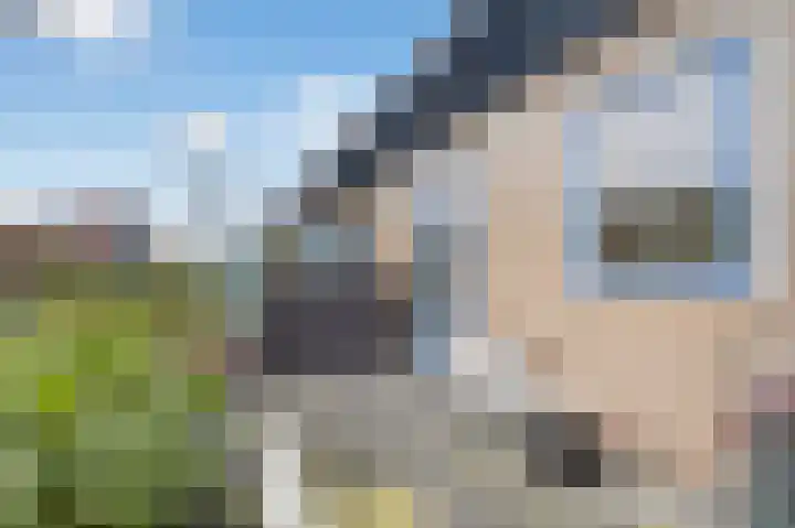 Delle Alpihof 46 Amsterdam thumbnail 34