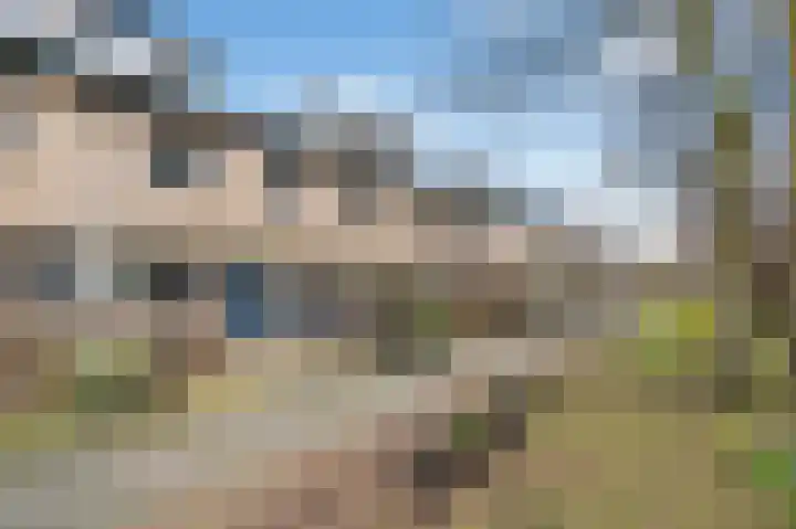 Delle Alpihof 46 Amsterdam thumbnail 37