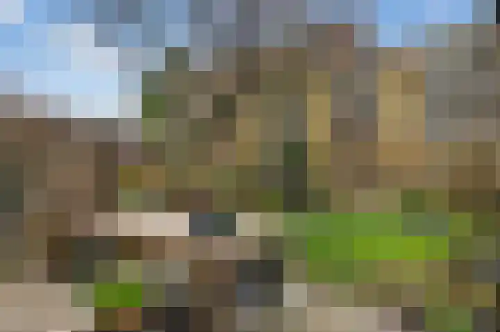 Delle Alpihof 46 Amsterdam thumbnail 4