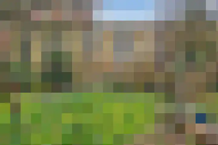 Delle Alpihof 46 Amsterdam thumbnail 41