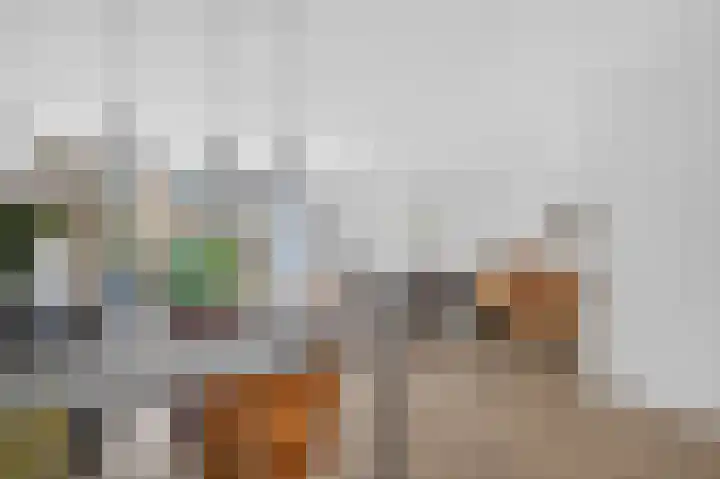 Delle Alpihof 46 Amsterdam thumbnail 5