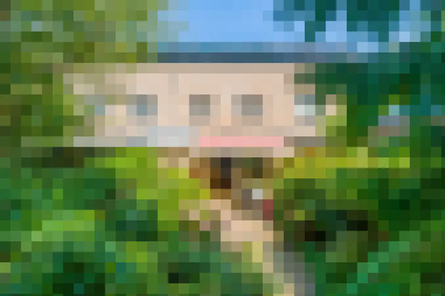Delle Alpihof 50 Amsterdam thumbnail 15