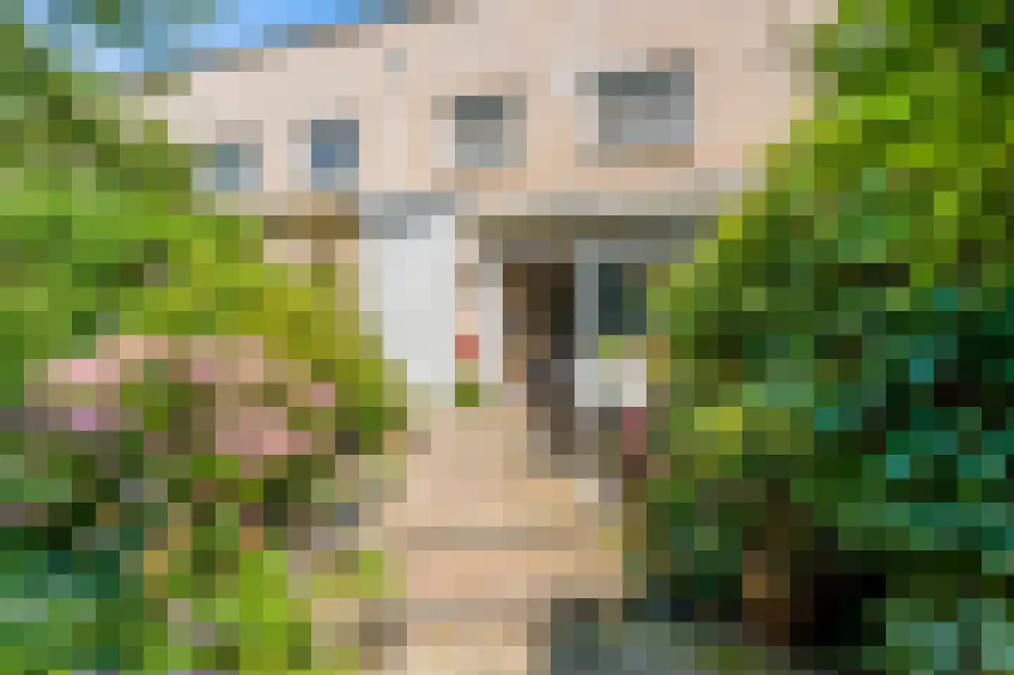 Delle Alpihof 50 Amsterdam thumbnail 16