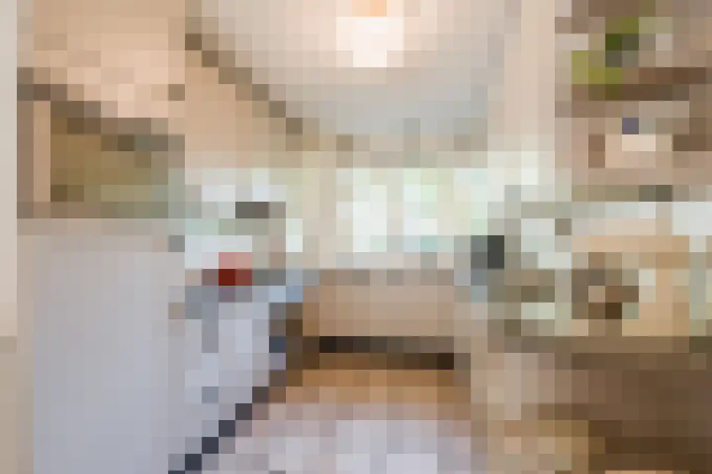 Delle Alpihof 50 Amsterdam thumbnail 17