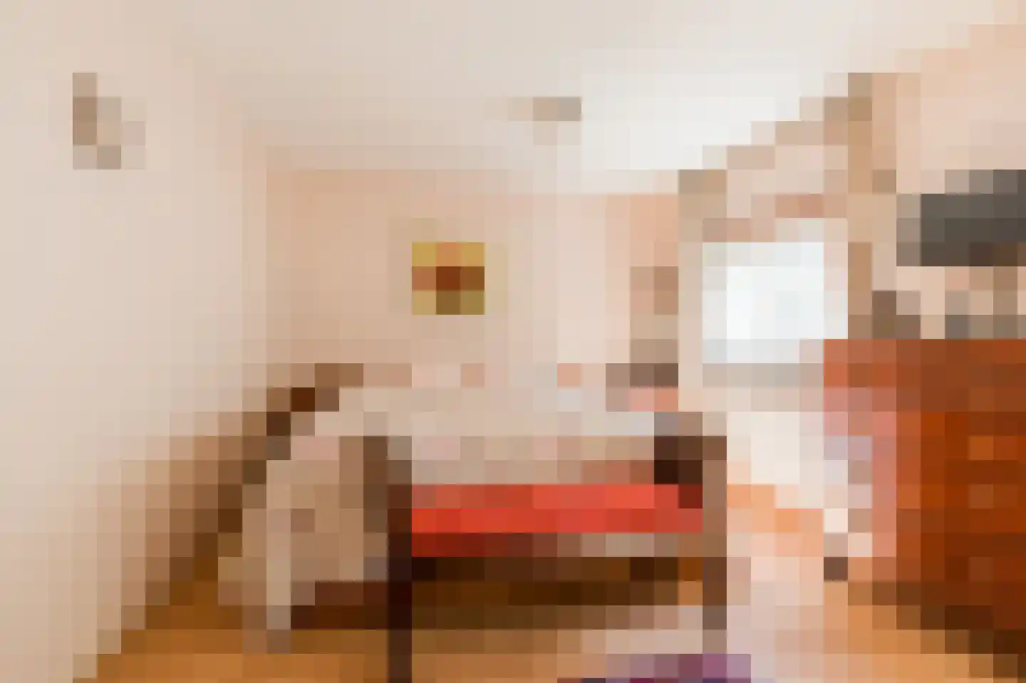 Delle Alpihof 50 Amsterdam thumbnail 23