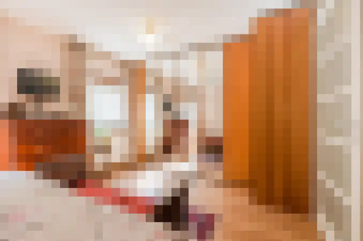 Delle Alpihof 50 Amsterdam thumbnail 24