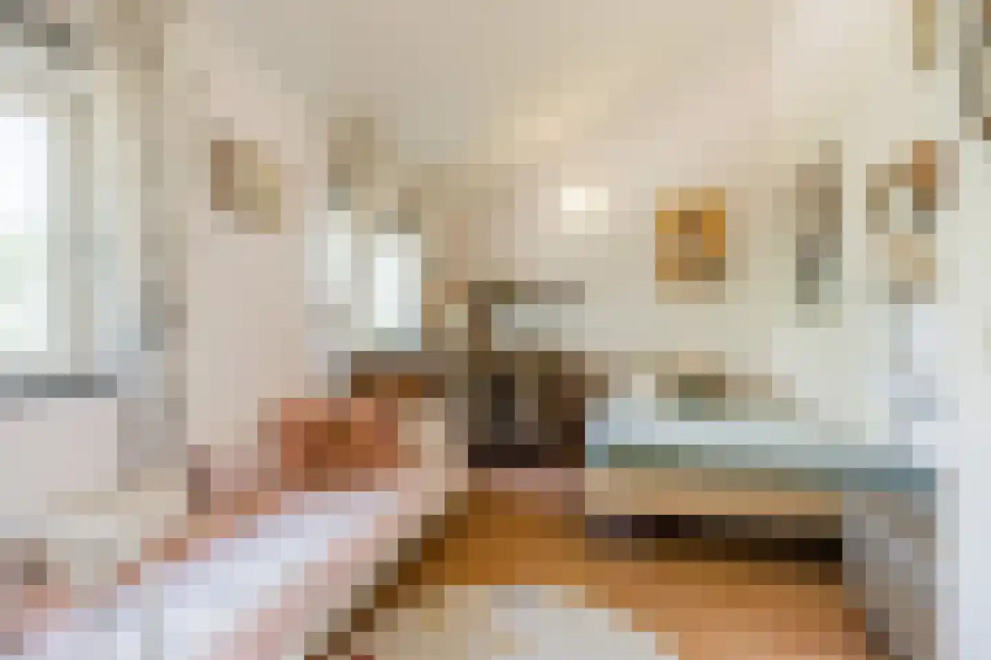 Delle Alpihof 50 Amsterdam thumbnail 29