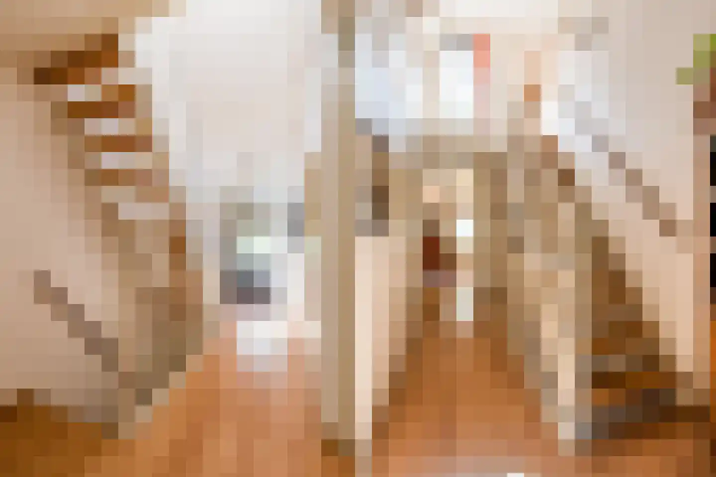 Delle Alpihof 50 Amsterdam thumbnail 31