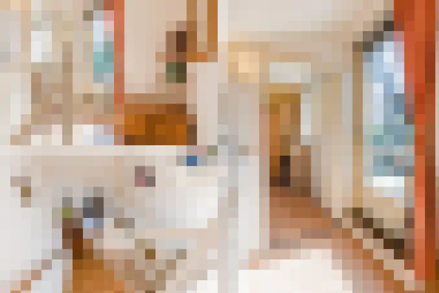 Delle Alpihof 50 Amsterdam thumbnail 35