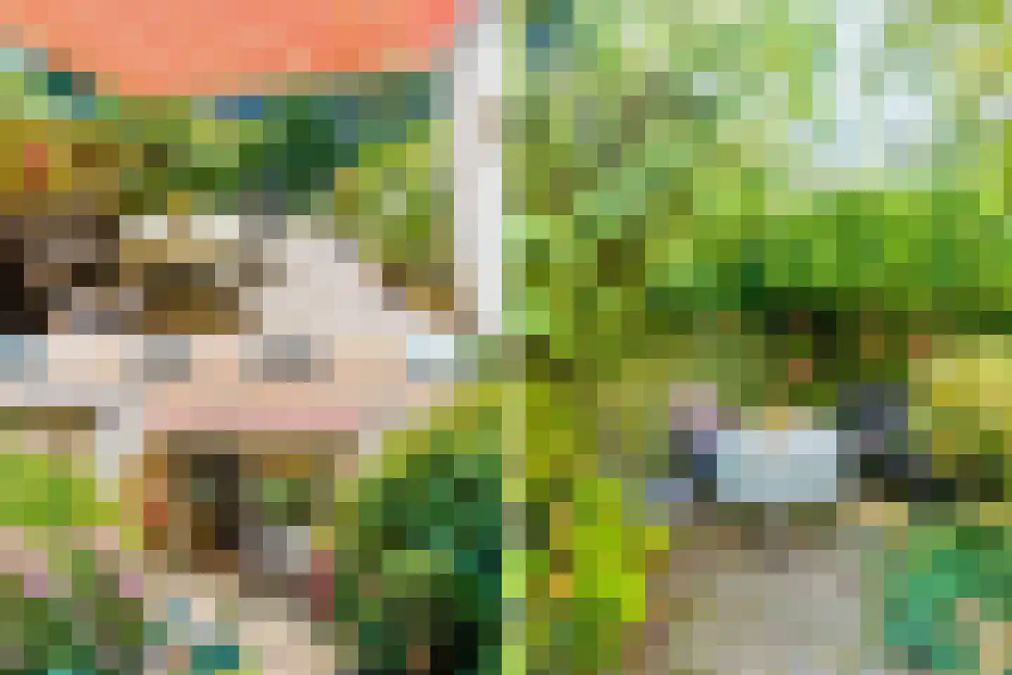 Delle Alpihof 50 Amsterdam thumbnail 46