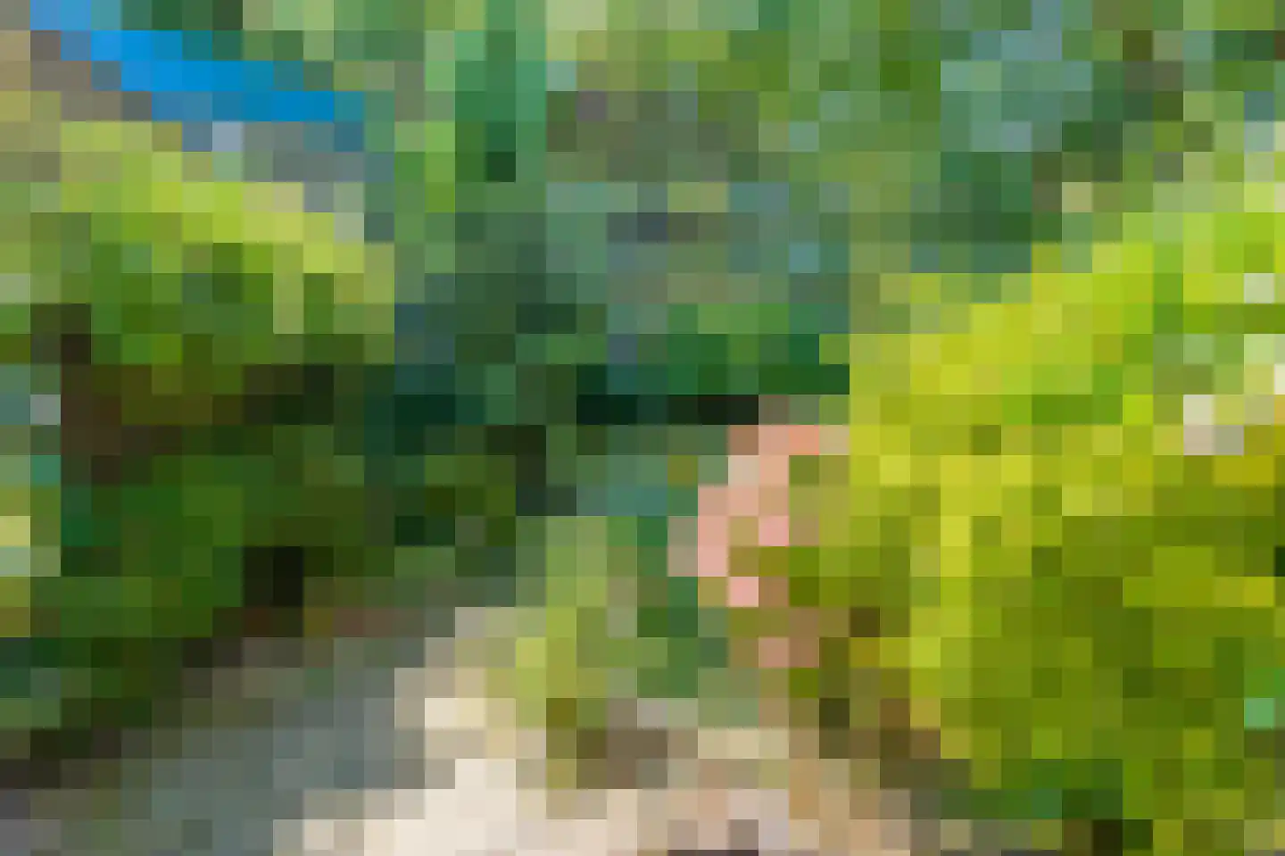 Delle Alpihof 50 Amsterdam thumbnail 48