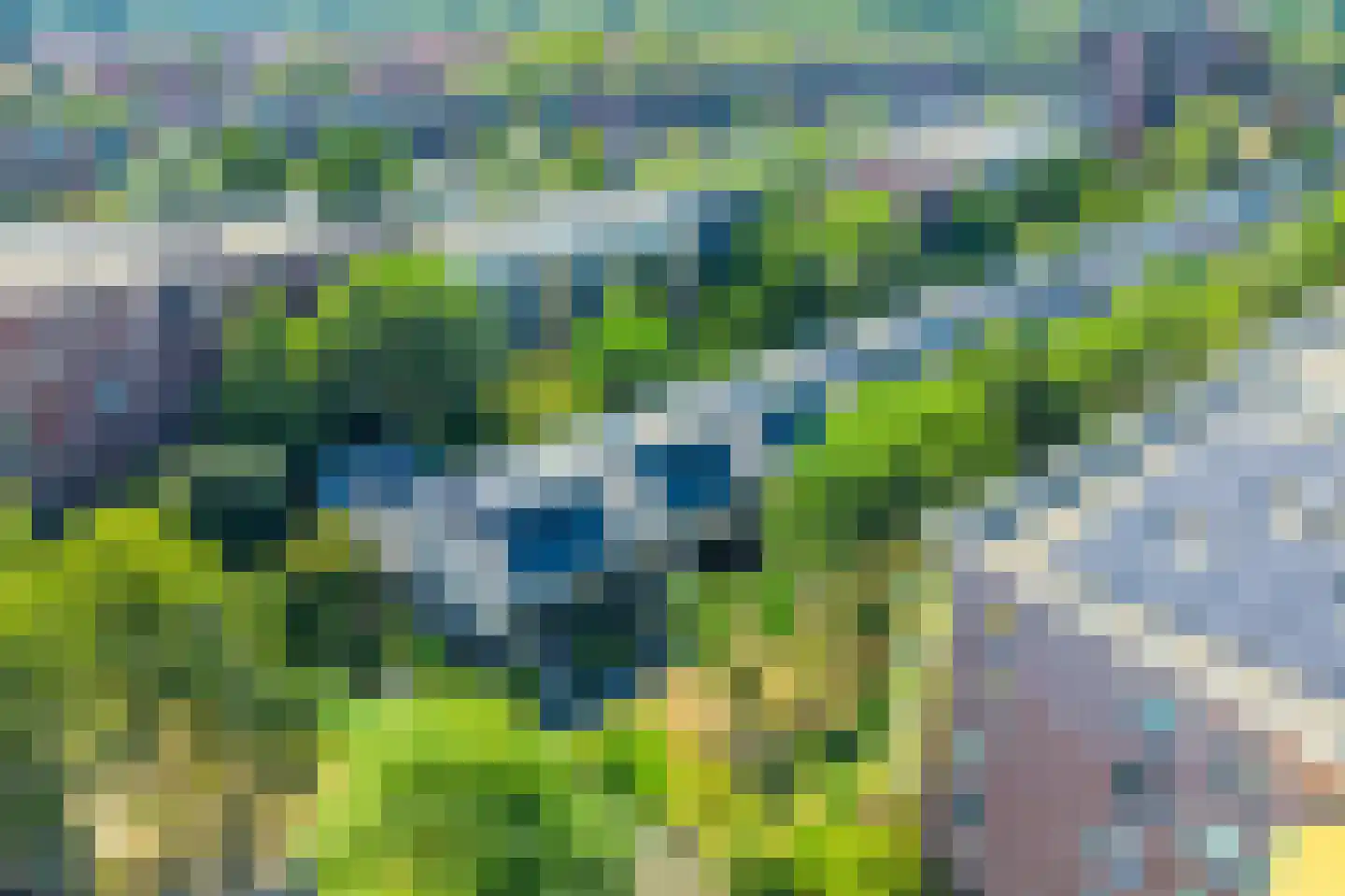 Delle Alpihof 50 Amsterdam thumbnail 52