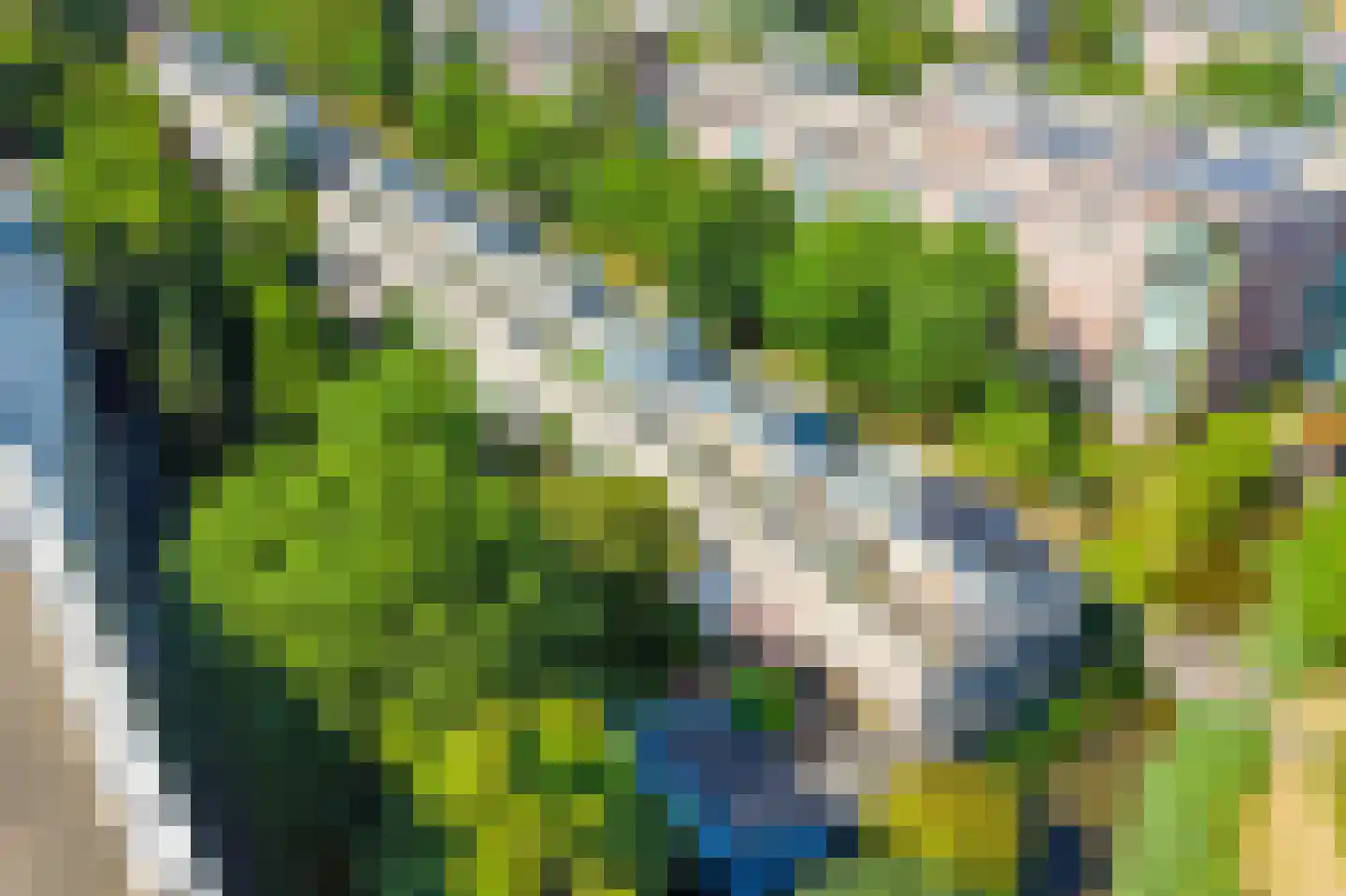 Delle Alpihof 50 Amsterdam thumbnail 54
