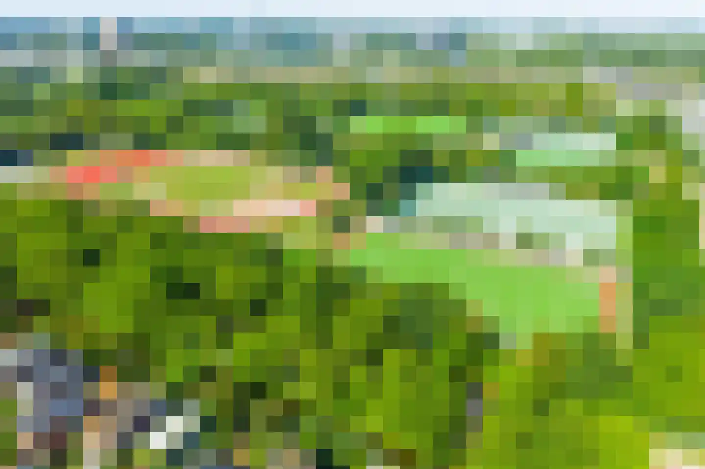 Delle Alpihof 50 Amsterdam thumbnail 55