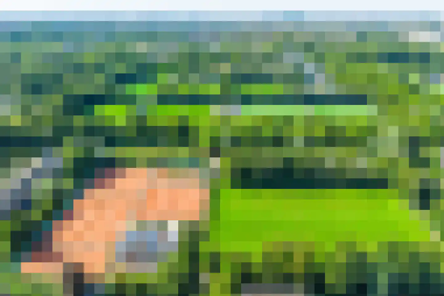 Delle Alpihof 50 Amsterdam thumbnail 56